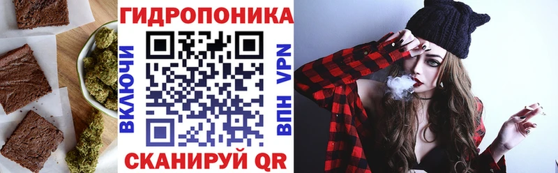 где продают Дивногорск shop Telegram Canna-Cookies конопля hydra зеркало