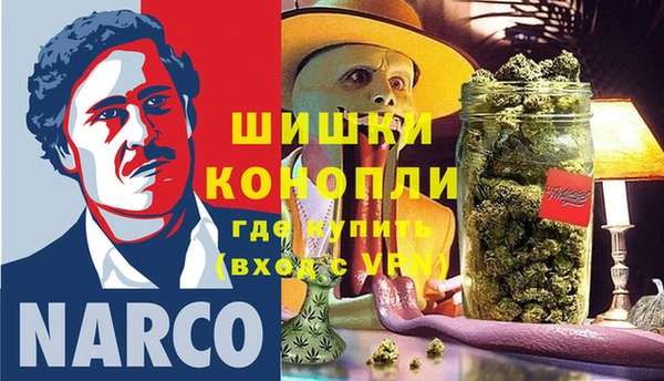 ГАЛЛЮЦИНОГЕННЫЕ ГРИБЫ Беломорск