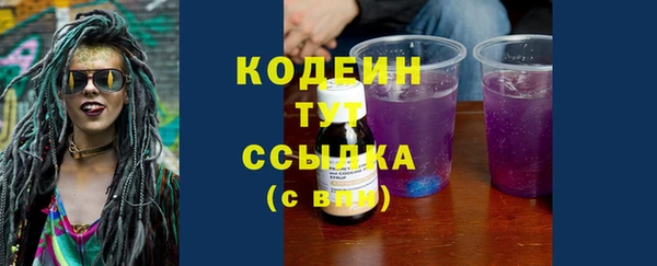 дживик Белокуриха