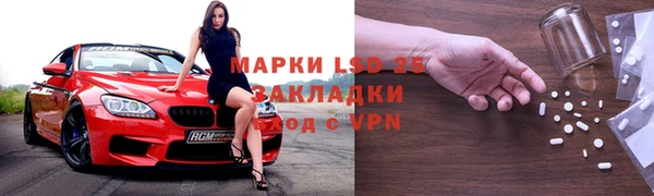 ГАЛЛЮЦИНОГЕННЫЕ ГРИБЫ Беломорск