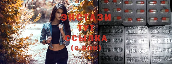 сатива Дмитриев